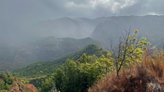 Waimea Canyon State Park - Kauai Hawaii 2024