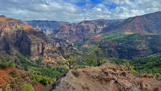 Waimea Canyon State Park - Kauai Hawaii 2024