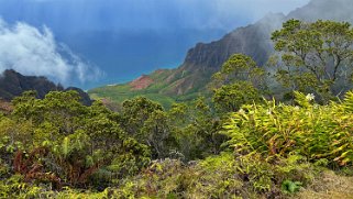 Pu’u O Kila - Kauai Hawaii 2024