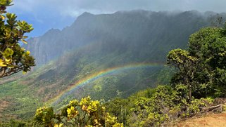 Pu’u O Kila - Kauai Hawaii 2024