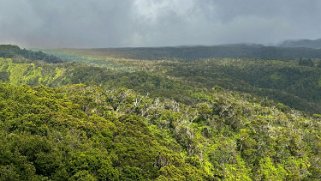 Pu’u O Kila - Kauai Hawaii 2024