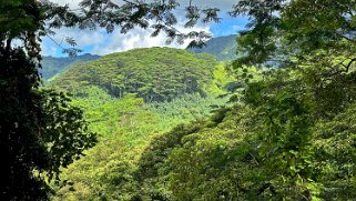 Kuilau Trail - Kauai Hawaii 2024