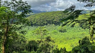 Kuilau Trail - Kauai Hawaii 2024