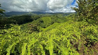 Kuilau Trail - Kauai Hawaii 2024