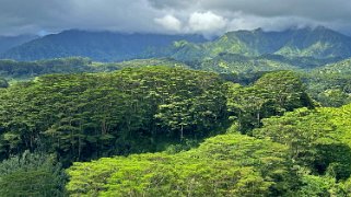 Kuilau Trail - Kauai Hawaii 2024