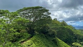 Kuilau Trail - Kauai Hawaii 2024