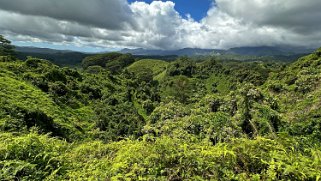 Kuilau Trail - Kauai Hawaii 2024