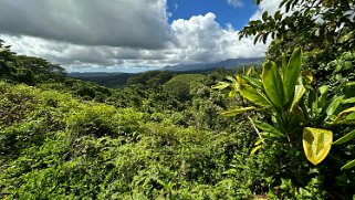 Kuilau Trail - Kauai Hawaii 2024