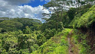 Kuilau Trail - Kauai Hawaii 2024