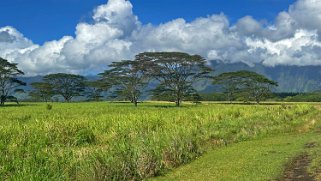 Wailua - Kauai Hawaii 2024