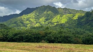 Moalepe Trail - Kauai Hawaii 2024