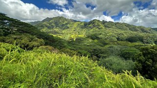 Moalepe Trail - Kauai Hawaii 2024