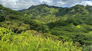 Moalepe Trail - Kauai Hawaii 2024