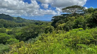 Moalepe Trail - Kauai Hawaii 2024