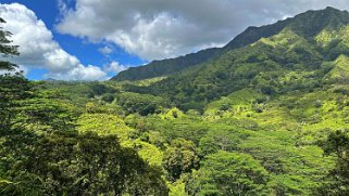 Moalepe Trail - Kauai Hawaii 2024