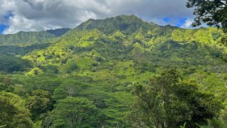 Moalepe Trail - Kauai Hawaii 2024