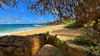 Paliku Beach - Kauai Hawaii 2024