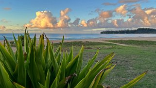 Hanalei Beach - Kauai Hawaii 2024