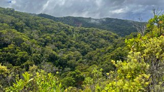 Awaʻawapuhi Trail - Kauai Hawaii 2024