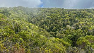 Awaʻawapuhi Trail - Kauai Hawaii 2024