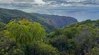 Awaʻawapuhi Trail - Kauai Hawaii 2024