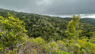 Awaʻawapuhi Trail - Kauai Hawaii 2024