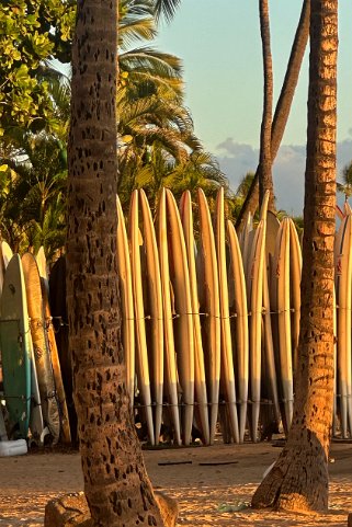 Waikīkī Beach - Oahu Hawaii 2024