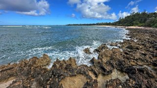 Turtle Beach - Oahu Hawaii 2024