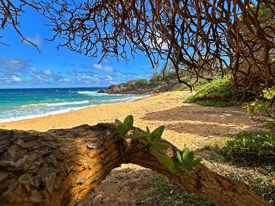 Hanalei - Kauai Hawaii - Etats-Unis