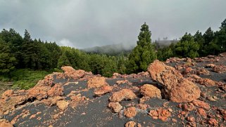 Montana de los Charcos 1851 m - La Palma La Palma 2024