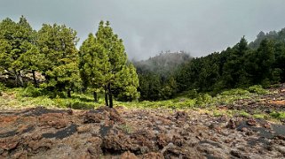 Montana de los Charcos 1851 m - La Palma La Palma 2024