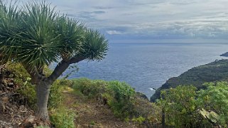 Los Castro - Barlovento - La Palma La Palma 2024