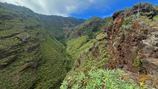 Los Castro - Barlovento - La Palma La Palma 2024