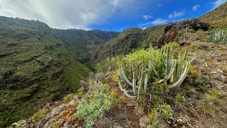 Los Castro - Barlovento - La Palma La Palma 2024