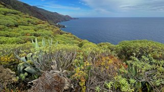 Los Castro - Barlovento - La Palma La Palma 2024