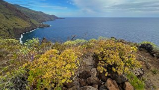 Los Castro - Barlovento - La Palma La Palma 2024