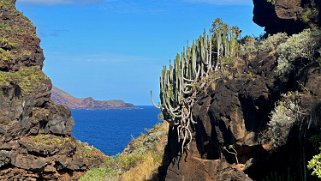 Los Castro - Barlovento - La Palma La Palma 2024