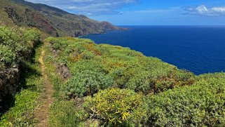 Los Castro - Barlovento - La Palma La Palma 2024