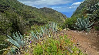 Los Castro - Barlovento - La Palma La Palma 2024