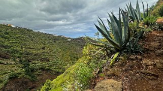 Los Castro - Barlovento - La Palma La Palma 2024