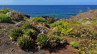 La Fajana - La Palma La Palma 2024