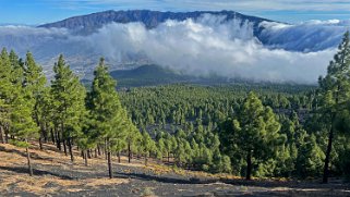 Ruta de los volcanes - La Palma La Palma 2024