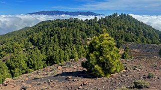 Ruta de los volcanes - La Palma La Palma 2024