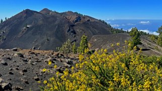 Volcan El Duraznero 1852 m - Ruta de los volcanes - La Palma La Palma 2024