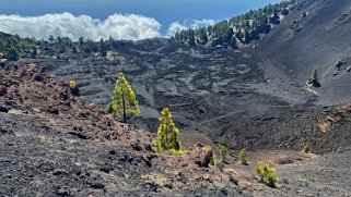 Ruta de los volcanes - La Palma La Palma 2024