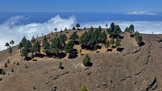 Ruta de los volcanes - La Palma La Palma 2024