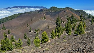 Ruta de los volcanes - La Palma La Palma 2024