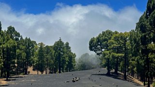 Ruta de los volcanes - La Palma La Palma 2024