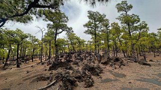 Ruta de los volcanes - La Palma La Palma 2024