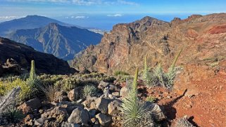 Pico Fuente Nueva 2366 m - La Palma La Palma 2024